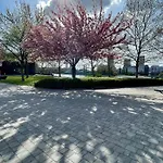 아파트 Nuance Sky Citadella & View 부다페스트